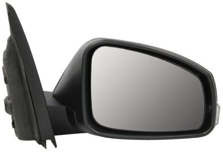 Renault Buitenspiegel 5402041121608P