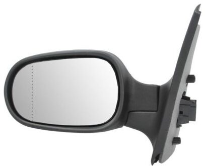 Renault Buitenspiegel 5402041125173P