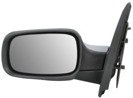 Renault Buitenspiegel 5402041125175P