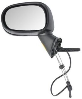 Renault Buitenspiegel 5402041125179P