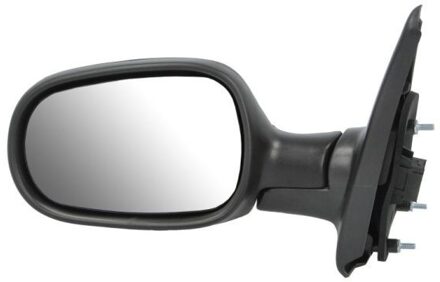 Renault Buitenspiegel 5402041125221P