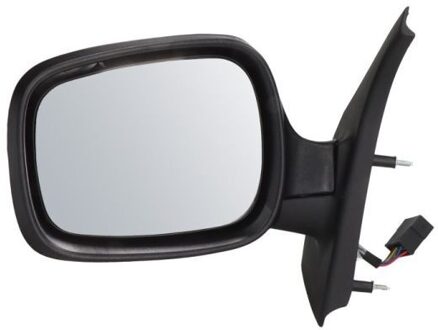 Renault Buitenspiegel 5402041125223P