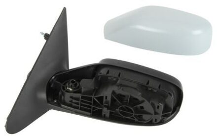 Renault Buitenspiegel 5402041125233P