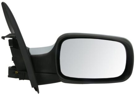 Renault Buitenspiegel 5402041129228P