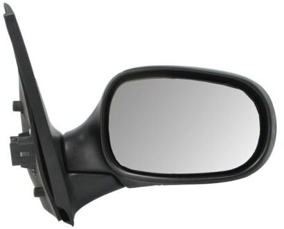 Renault Buitenspiegel 5402041131112P