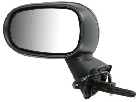 Renault Buitenspiegel 5402041131179P