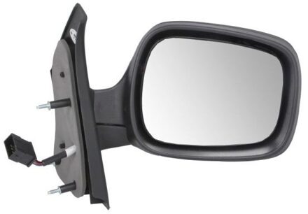 Renault Buitenspiegel 5402041131221P