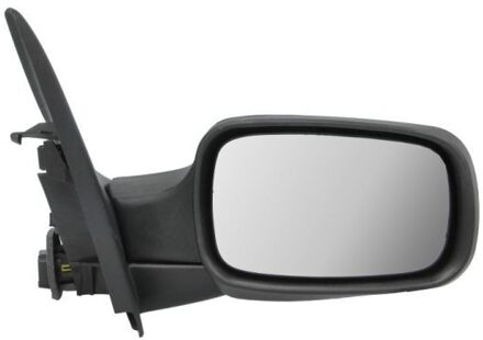 Renault Buitenspiegel 5402041131228P