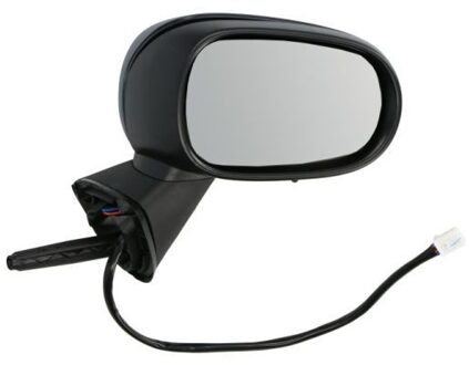 Renault Buitenspiegel 5402041132179P