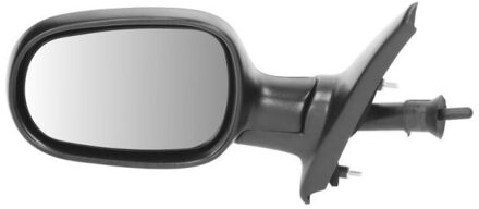 Renault Buitenspiegel 5402041137219P