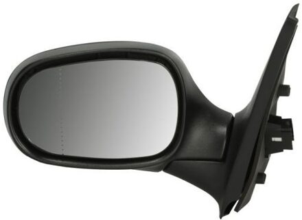 Renault Buitenspiegel 5402041139112P