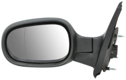 Renault Buitenspiegel 5402041139220P