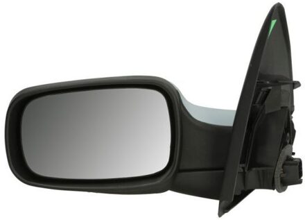 Renault Buitenspiegel 5402041139228P