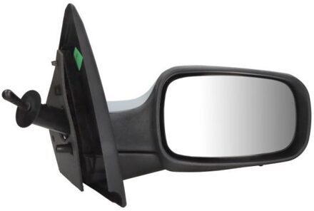 Renault Buitenspiegel 5402041191175P