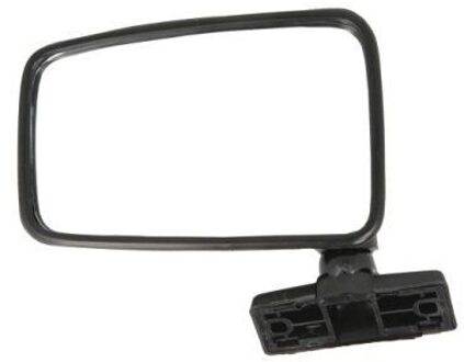 Renault Buitenspiegel 5402041191299P