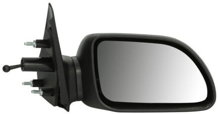 Renault Buitenspiegel 5402041192217P