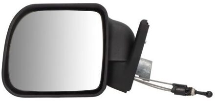 Renault Buitenspiegel 5402049291155P