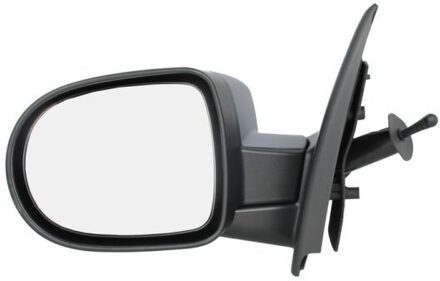 Renault Buitenspiegel 540209049363P