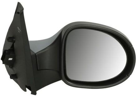 Renault Buitenspiegel 540209064362P