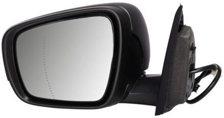 Renault Buitenspiegel 5402091208310P