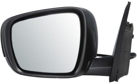 Renault Buitenspiegel 5402091208312P