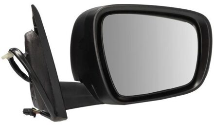 Renault Buitenspiegel 5402091208313P