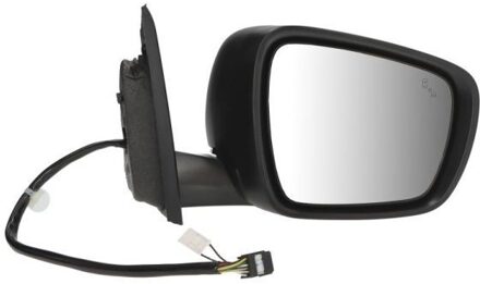 Renault Buitenspiegel 5402091208315P