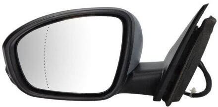 Renault Buitenspiegel 5402091231361P