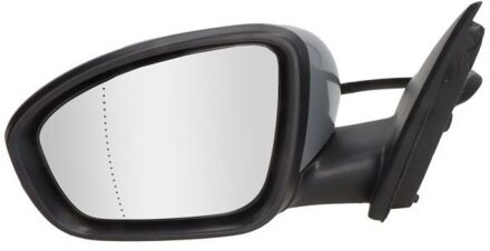 Renault Buitenspiegel 5402091231363P