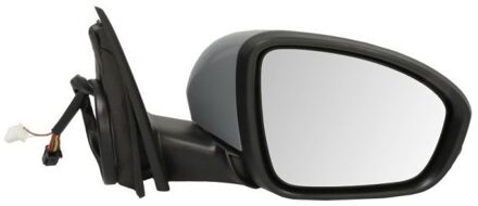 Renault Buitenspiegel 5402091231364P