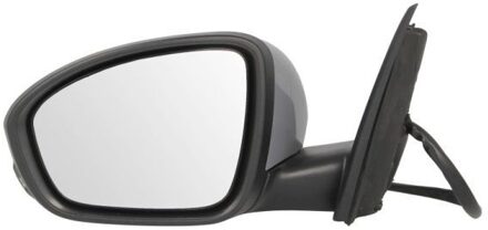 Renault Buitenspiegel 5402091231365P