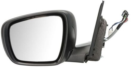 Renault Buitenspiegel 5402091241310P