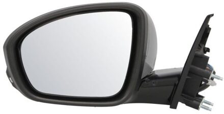 Renault Buitenspiegel 5402091243314P