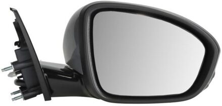 Renault Buitenspiegel 5402091243317P