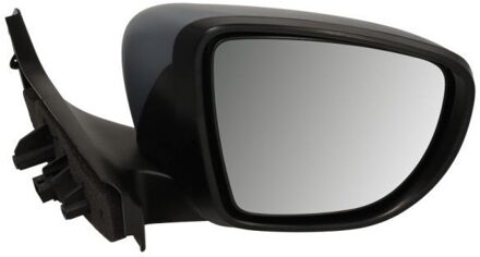 Renault Buitenspiegel 5402091256313P