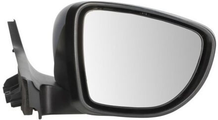 Renault Buitenspiegel 5402091256315P