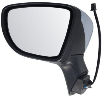 Renault Buitenspiegel 5402091922310P