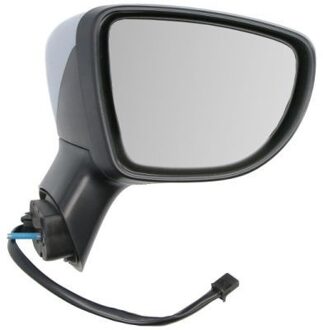 Renault Buitenspiegel 5402091922311P