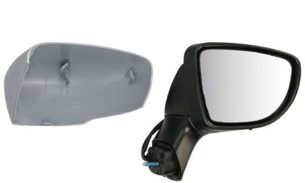 Renault Buitenspiegel 5402091922313P