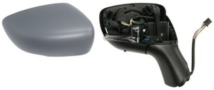 Renault Buitenspiegel 5402091922315P