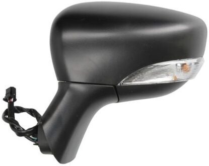 Renault Buitenspiegel 5402092002101P