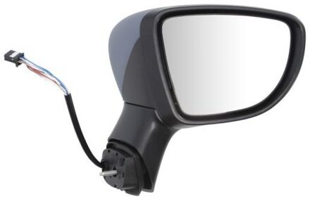 Renault Buitenspiegel 5402092002104P