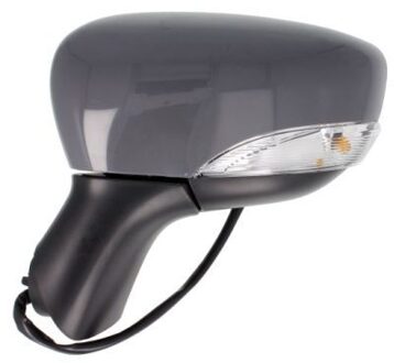 Renault Buitenspiegel 5402092002105P