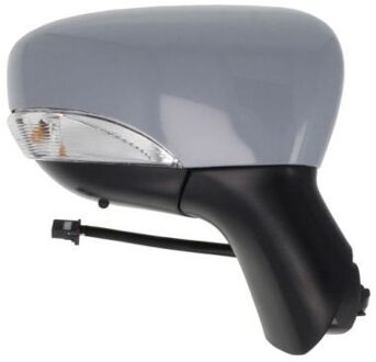 Renault Buitenspiegel 5402092002106P