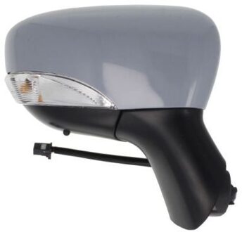 Renault Buitenspiegel 5402092002108P