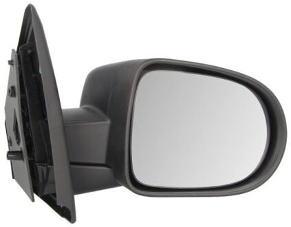 Renault Buitenspiegel 5402092002118P