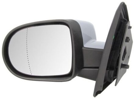 Renault Buitenspiegel 5402092002119P