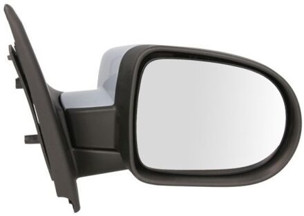 Renault Buitenspiegel 5402092002120P