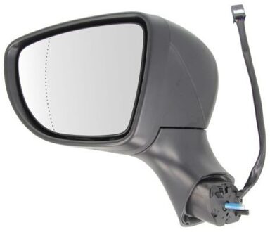 Renault Buitenspiegel 5402092002125P