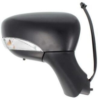 Renault Buitenspiegel 5402092002126P